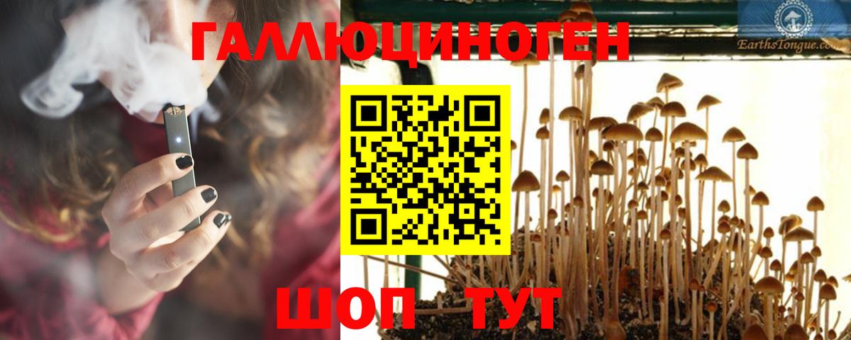 Галлюциногенные грибы MAGIC MUSHROOMS  Галлюциногенные грибы Cubensis  цены   Вход с VPN  Новоалтайск 